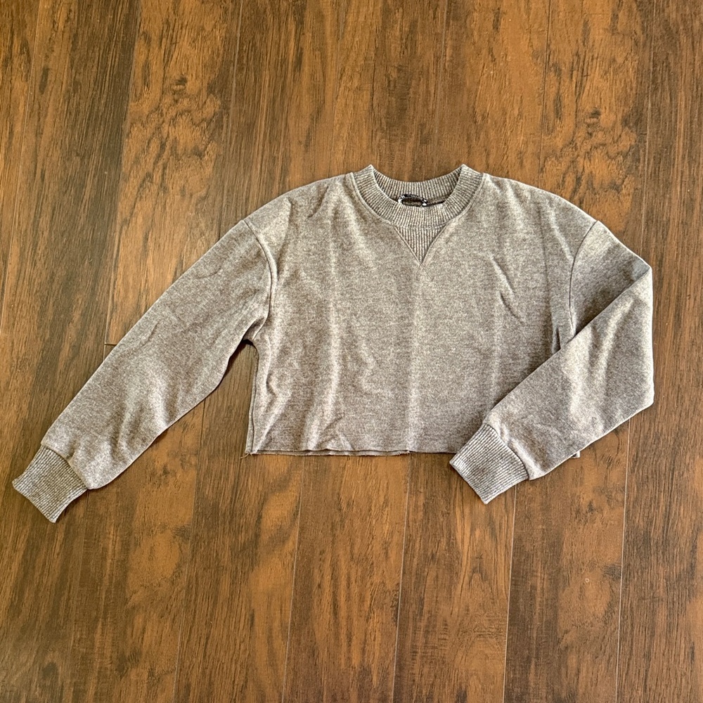 Zara Gray Cropped Sweatshirt